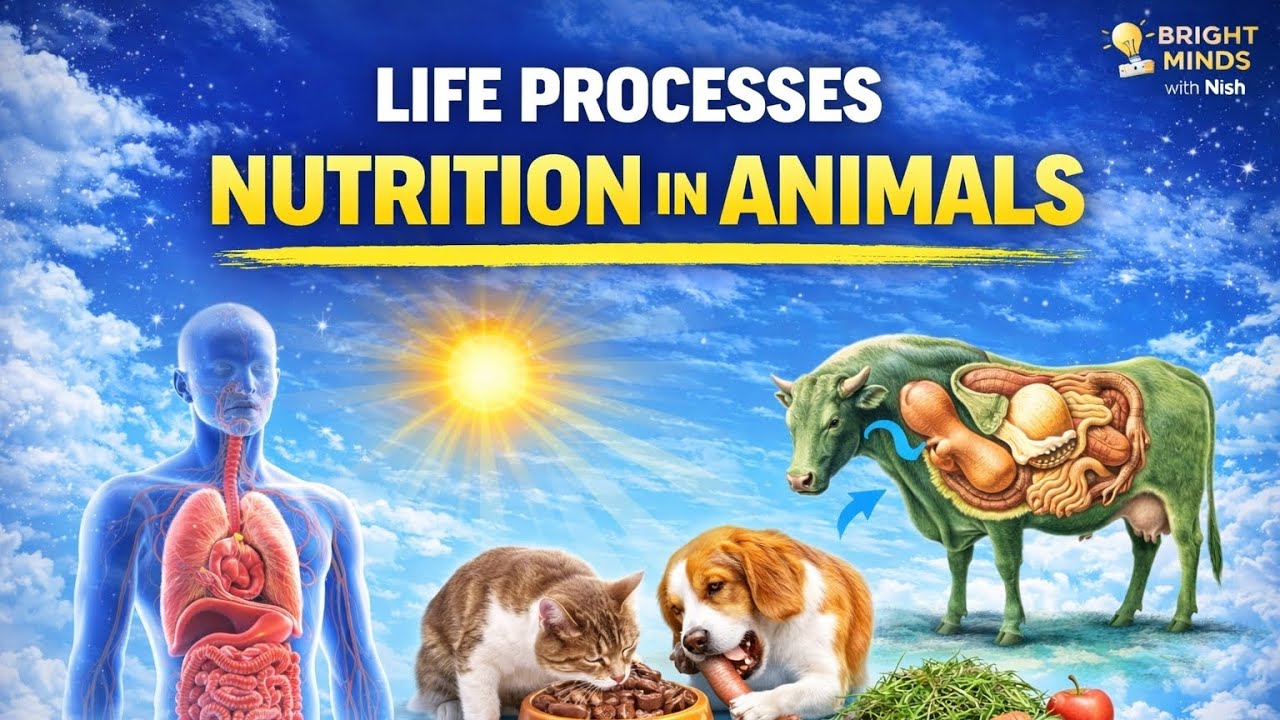 JKSSB Forest Inspector General Science - Lecture 3 Nutrition in Animals (Holozoic nutrition)