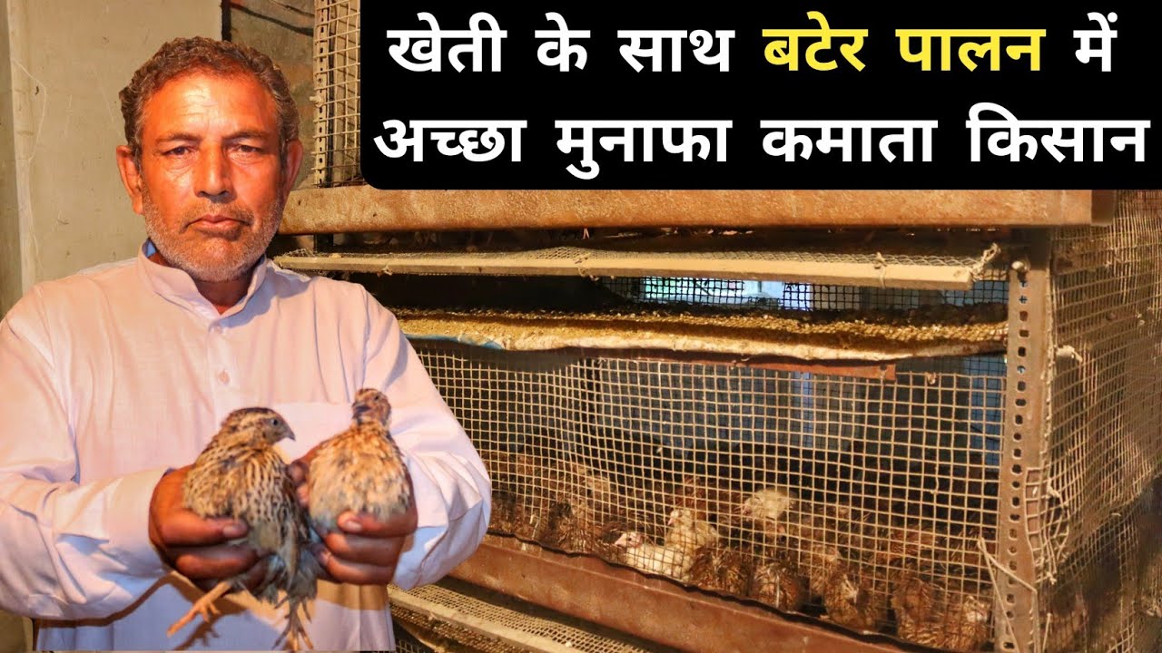 खेती के साथ 17 सालो से बटेर पालन करता किसान | Quail Farming | Bater Farming In India