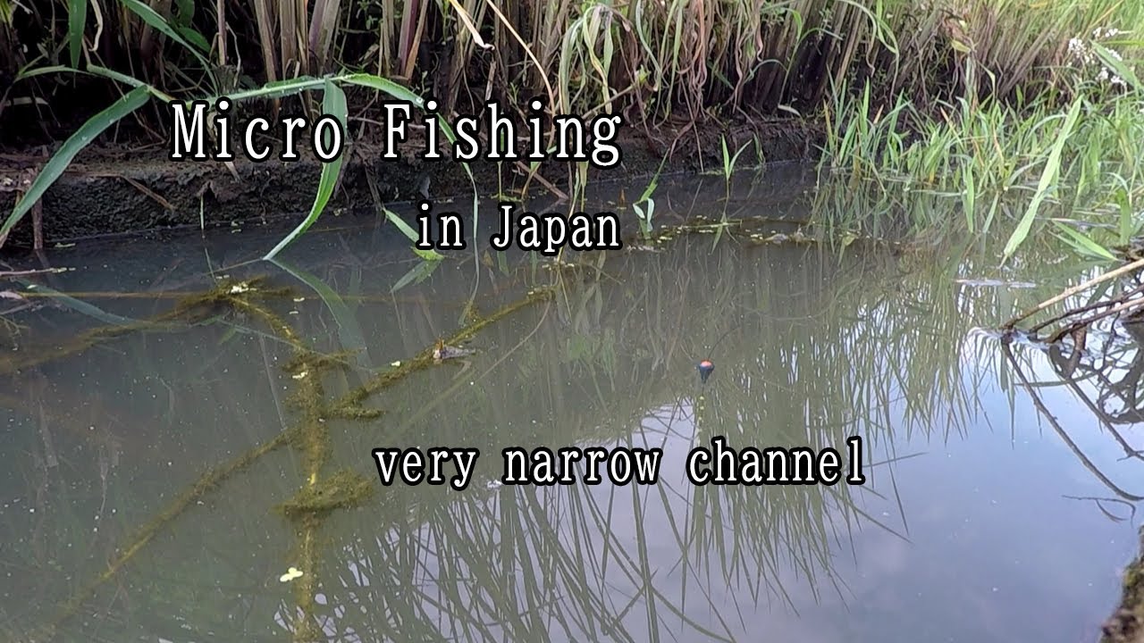 Micro Fishing in Narrow Canal 【 Traditional Japanese Tanago Rig 】