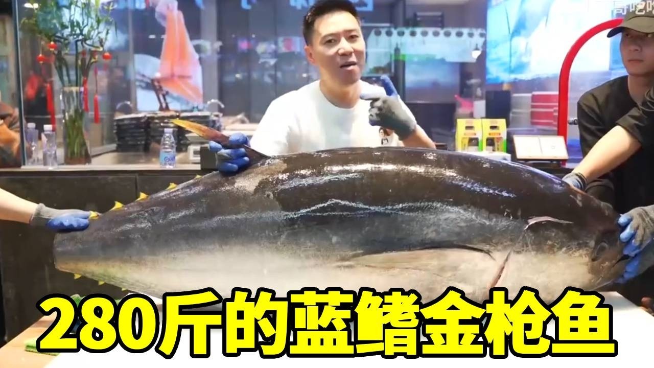杀一条280斤的蓝鳍金枪鱼，现场强迫粉丝吃，一口198元！