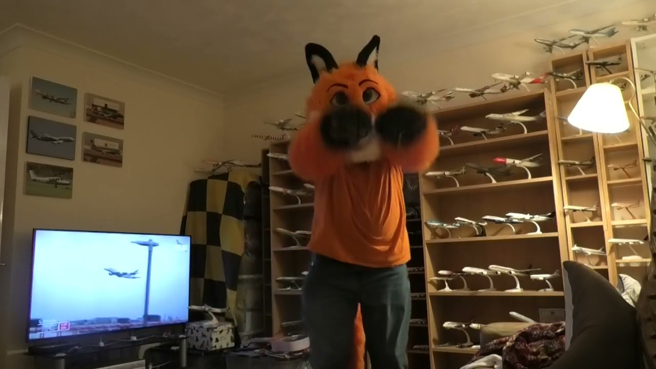 Jet Fox dances to What Does The Fox Say