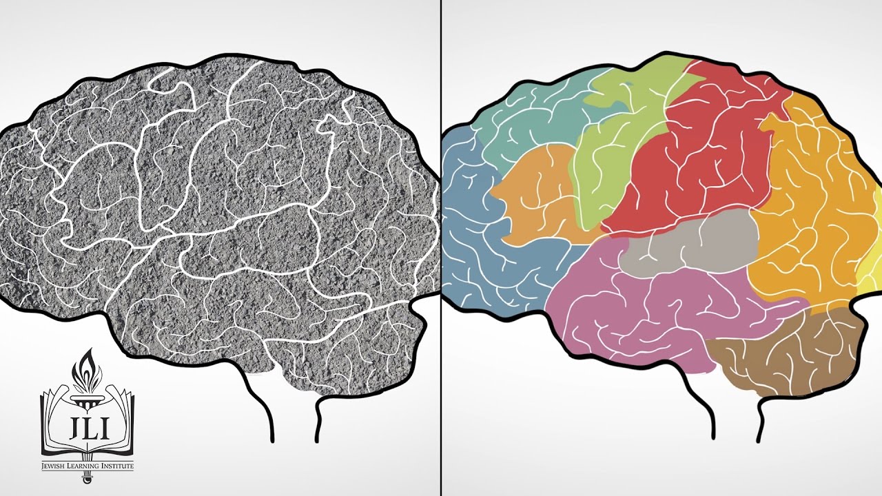Your Brain's Amazing Ability to Change