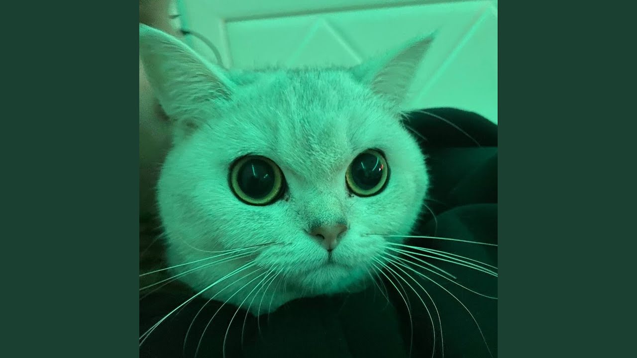 наколки (Opiumcore)
