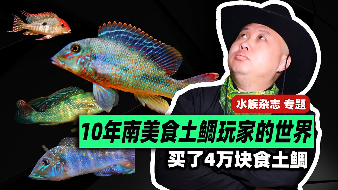9分鐘深度專訪10年食土鲷玩家的世界 #aquarium #食土鯛 #聖塔倫月亮 #南美缸 #南美慈鯛