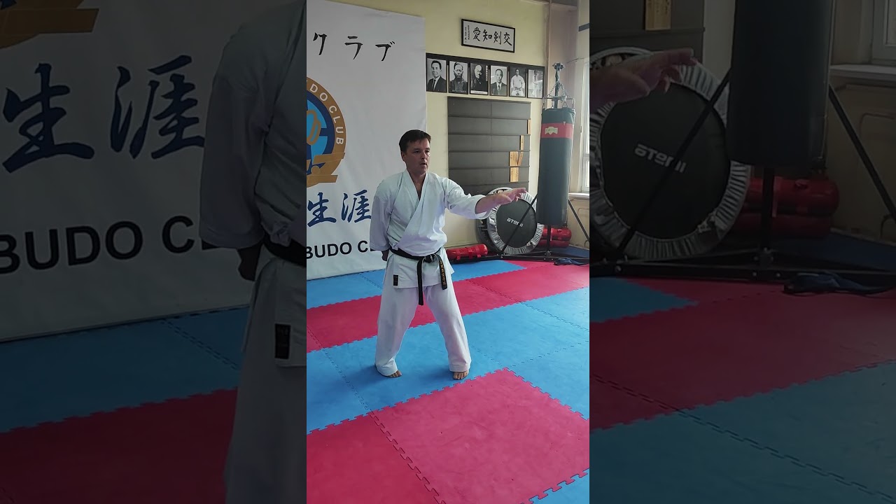 kata Seichin Uechi ryu karate do Hozonkai / Sensei Roman Semenov 3 dan / Saint Petersburg