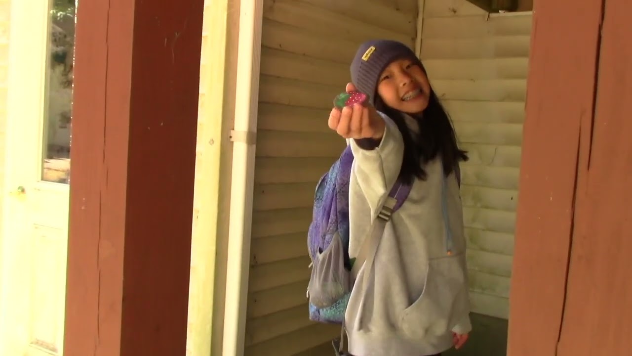 6th Grade Field Trip to Nature's Classroom - a Vlog by Sienna