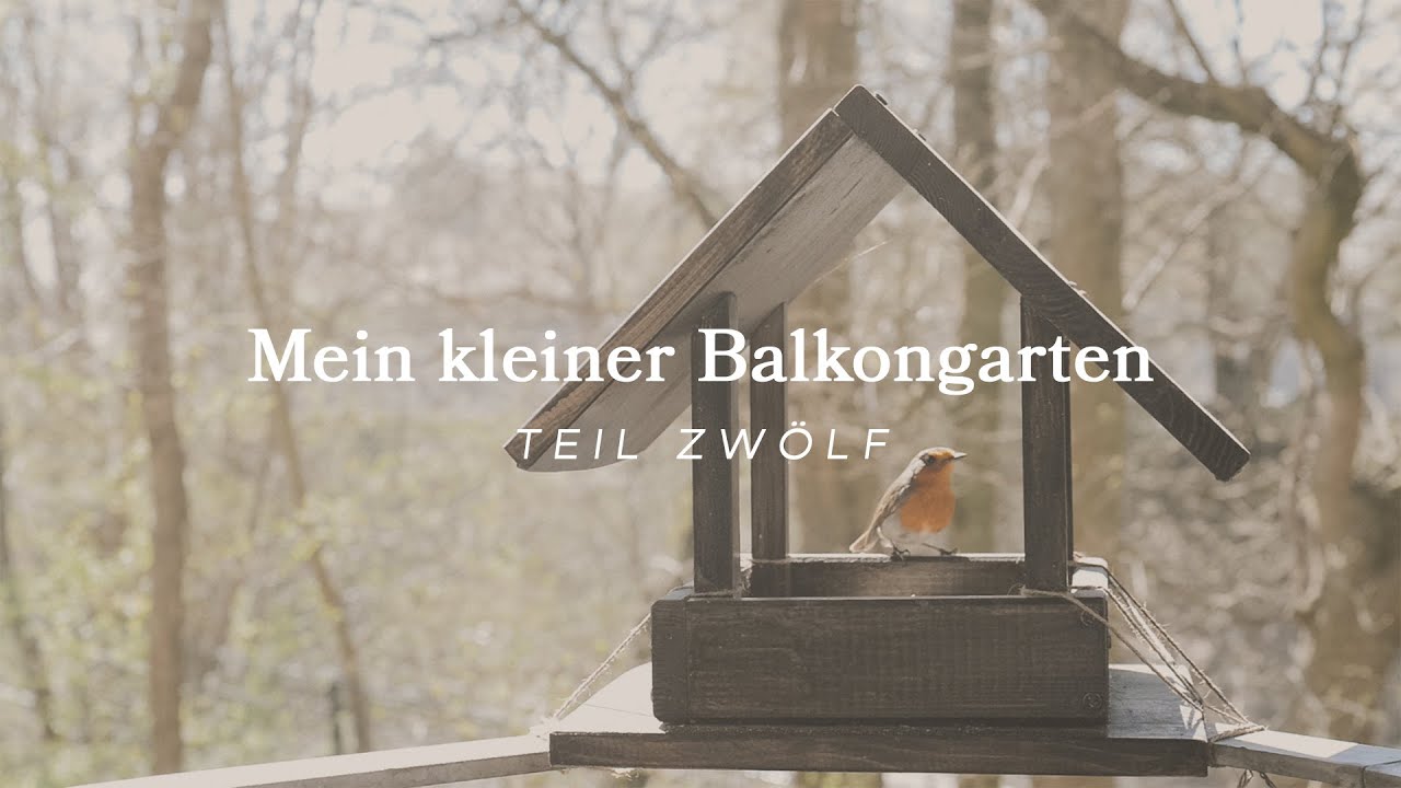 Mein kleiner Balkongarten – Teil 12 | Start der Saison 2025, Hochbeet vorbereiten & Aussaat 🌱🌤️ DE