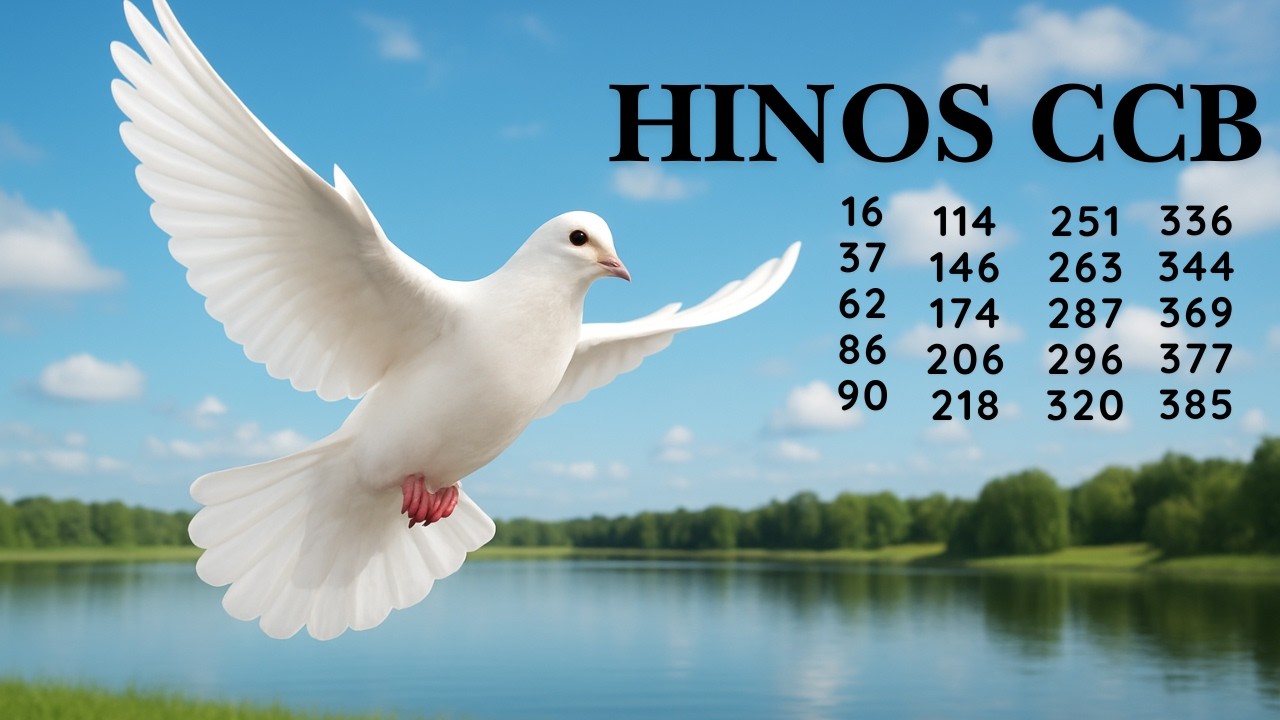 HINOS CCB - 67  | 16 37 62 86 90 114 146 174 206 218 251 263 287 296 320 336 344 369 377 385