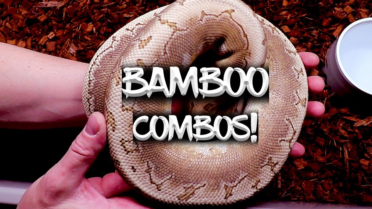 My Bamboo Combs (And How to Make Them!)
