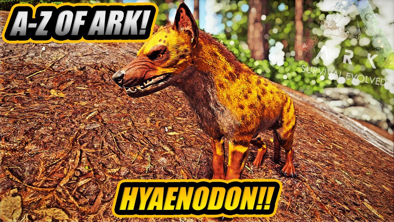 A-Z Of Ark! The HYAENODON, The Best Doggo Ever!! || Ark Survival Evolved!
