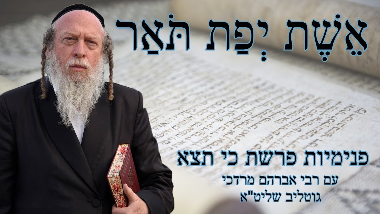 סודות מפרשת כי תצא על פי פנימיות התורה - מרבי אברהם מרדכי גוטליב שליט
