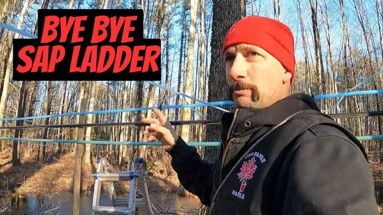 Reworking tubing for higher maple sap yields