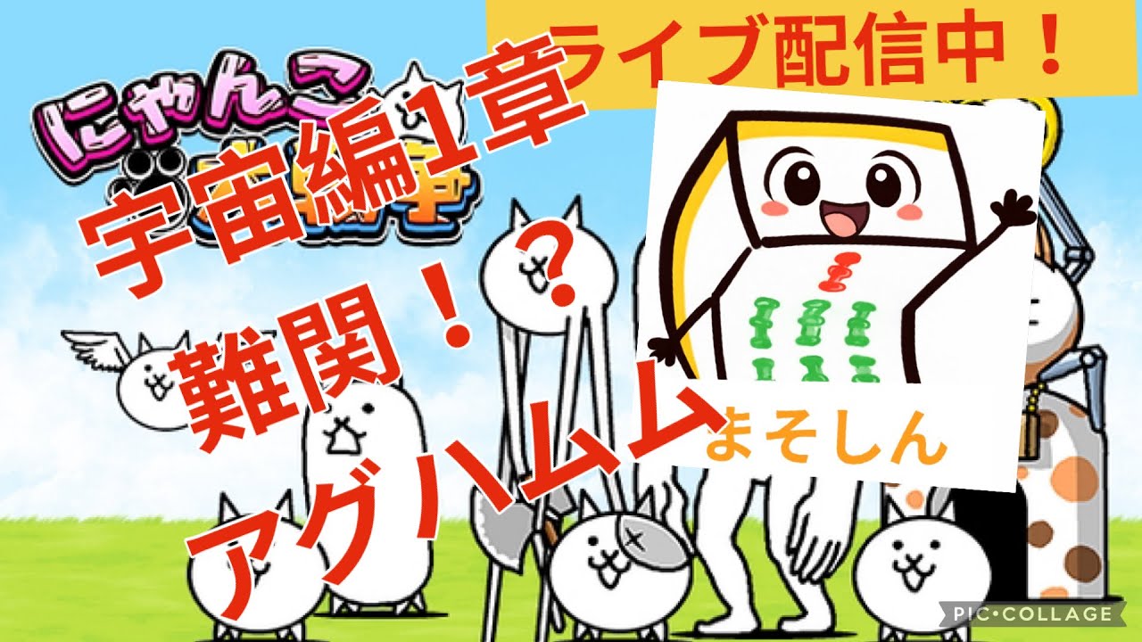 進め！にゃんこ部＃50 まそしんチャンネルがライブ配信中！