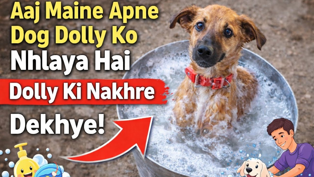 आज मैंने अपने डॉगी Dooly को नहलाया 🐶 nakhre dekhye!