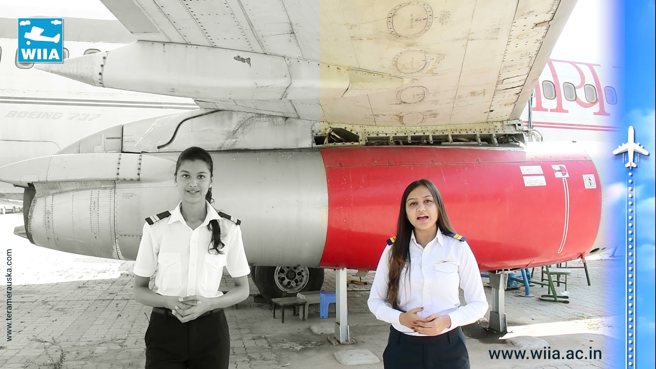 Opportunities in Aviation Industry