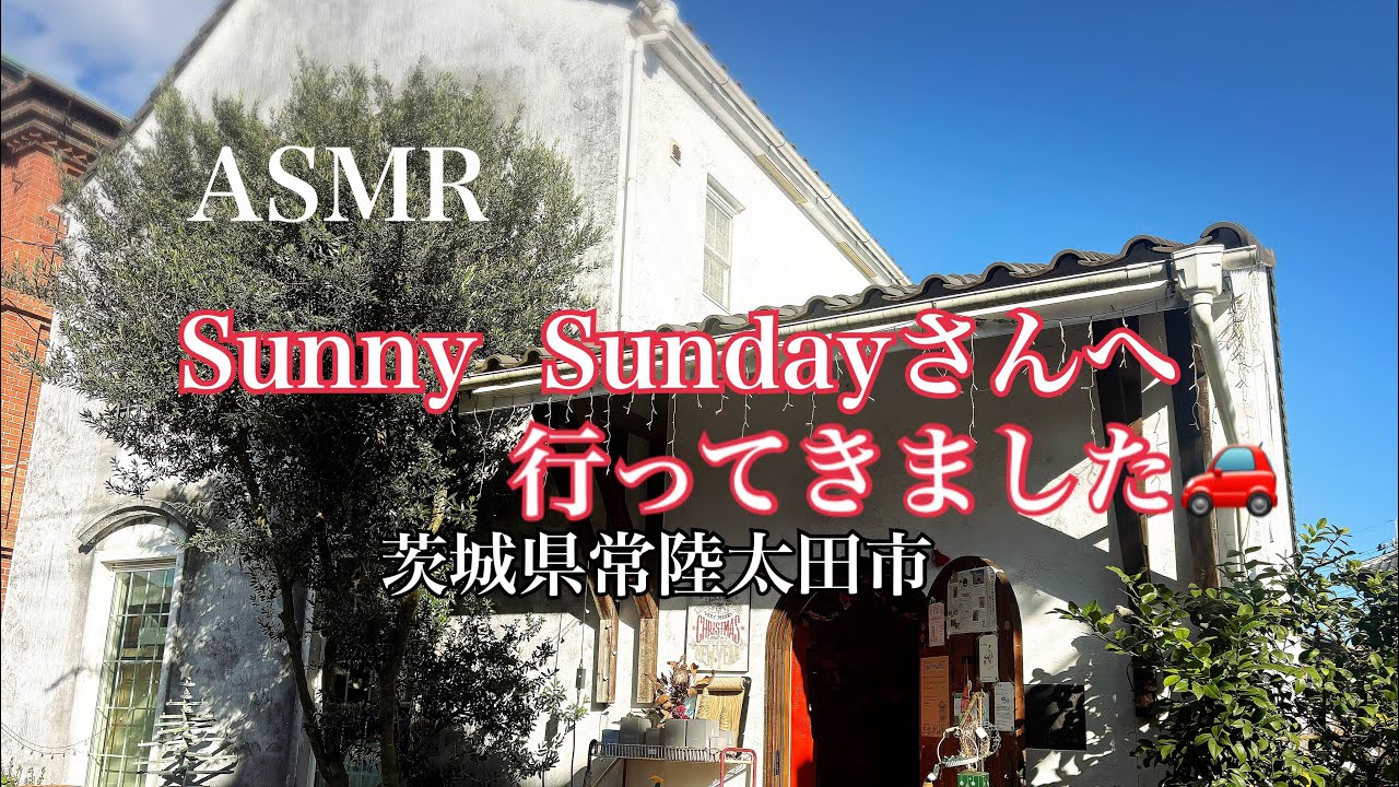 【ASMR】バイノーラル//紙もの好きの聖地。憧れのSunny Sundayさんへ ＆ 小声で楽しむ購入品紹介 log.