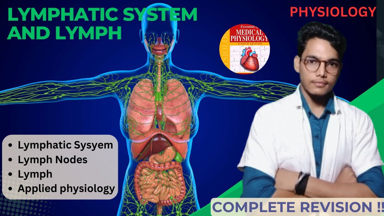 Lymphatic system and lymph physiology | lymph nodes | lymphatic drainage, lymph | lymphadenopathy