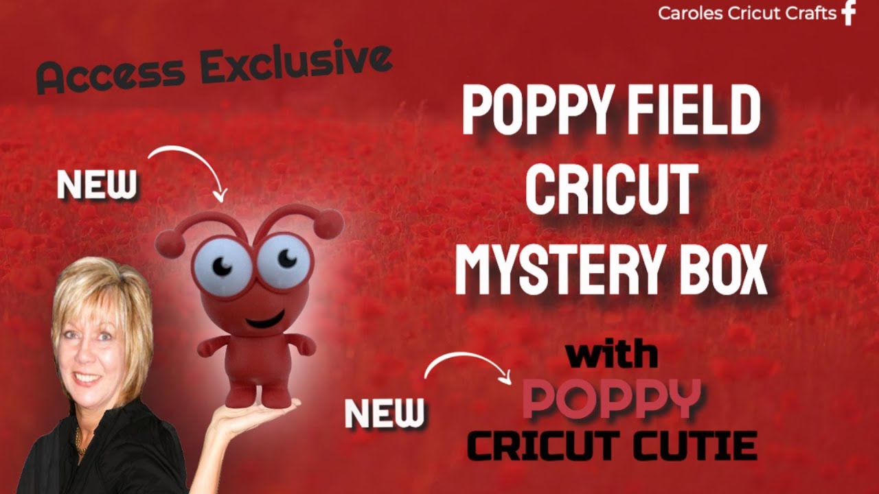 Mystery Box 🌸 Poppy Field Cricut Mystery Box Reveal + New Cricut Cutie!
