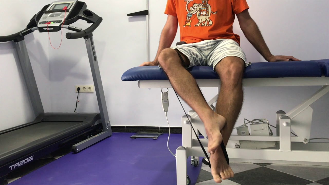 SARTORIO: elasticidad mediante ejercicios excéntricos