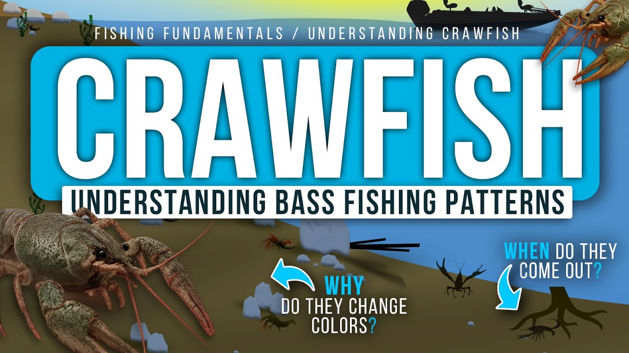 Understanding CRAWFISH Behavior to Catch MORE BASS! (Colors, Patterns, Environment)