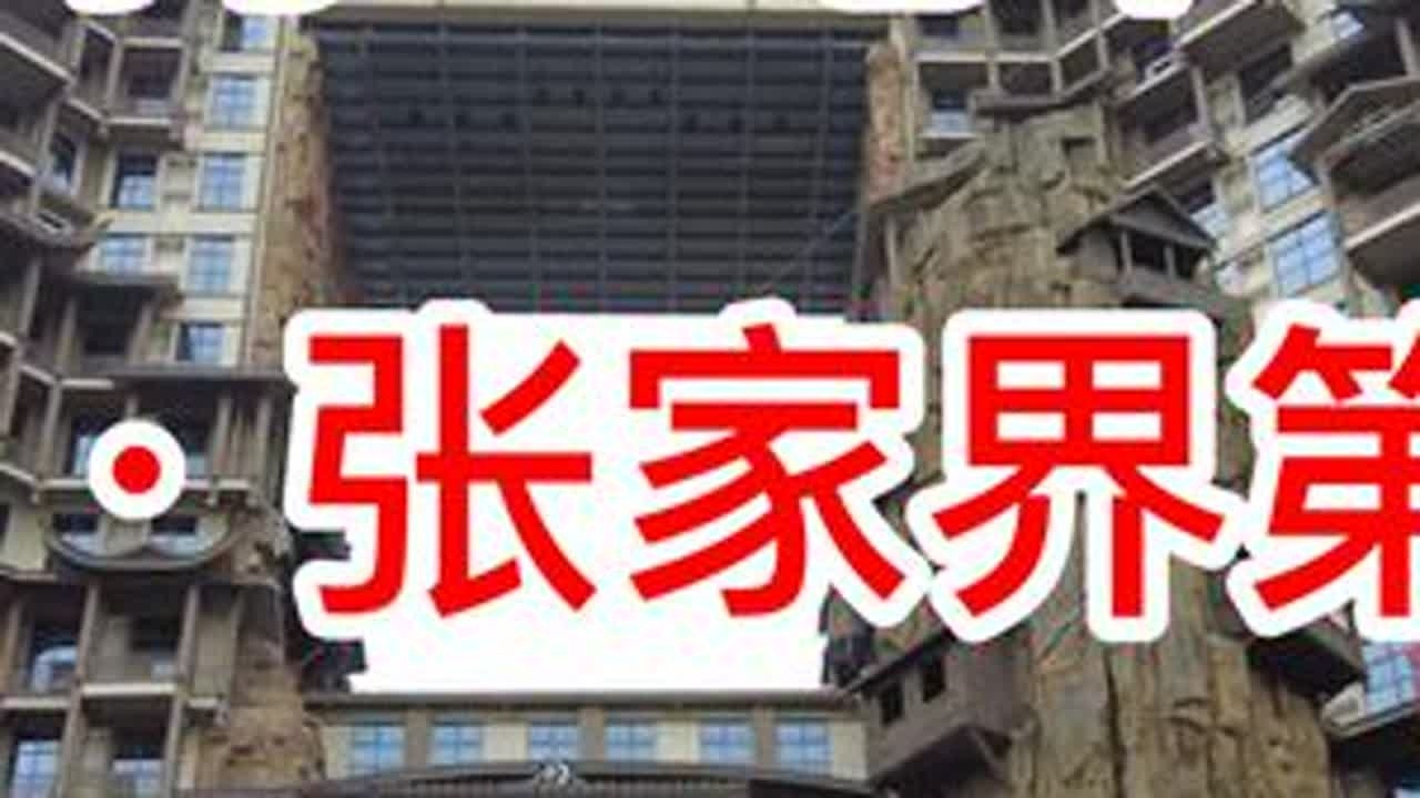 一人一狗一电车，环游中国，湖南张家界第二天 #vlog旅游 #张家界 #特斯拉 #边牧