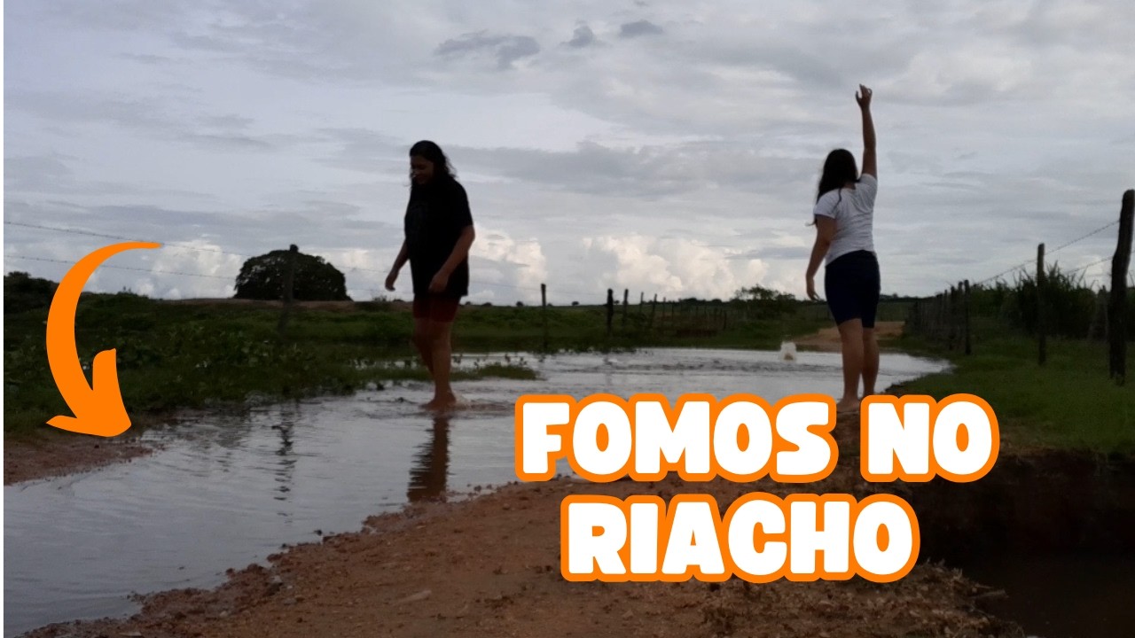 DIA DE FAXINA E ORGANIZAÇÃO NA CASA 🏠 TODA  | FOMOS VER UM RIACHO