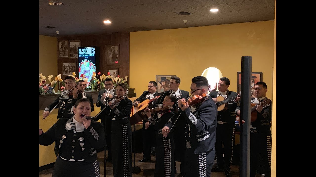 Mariachi Sonido de Mexico Special Dinner Performance at Taco Giro