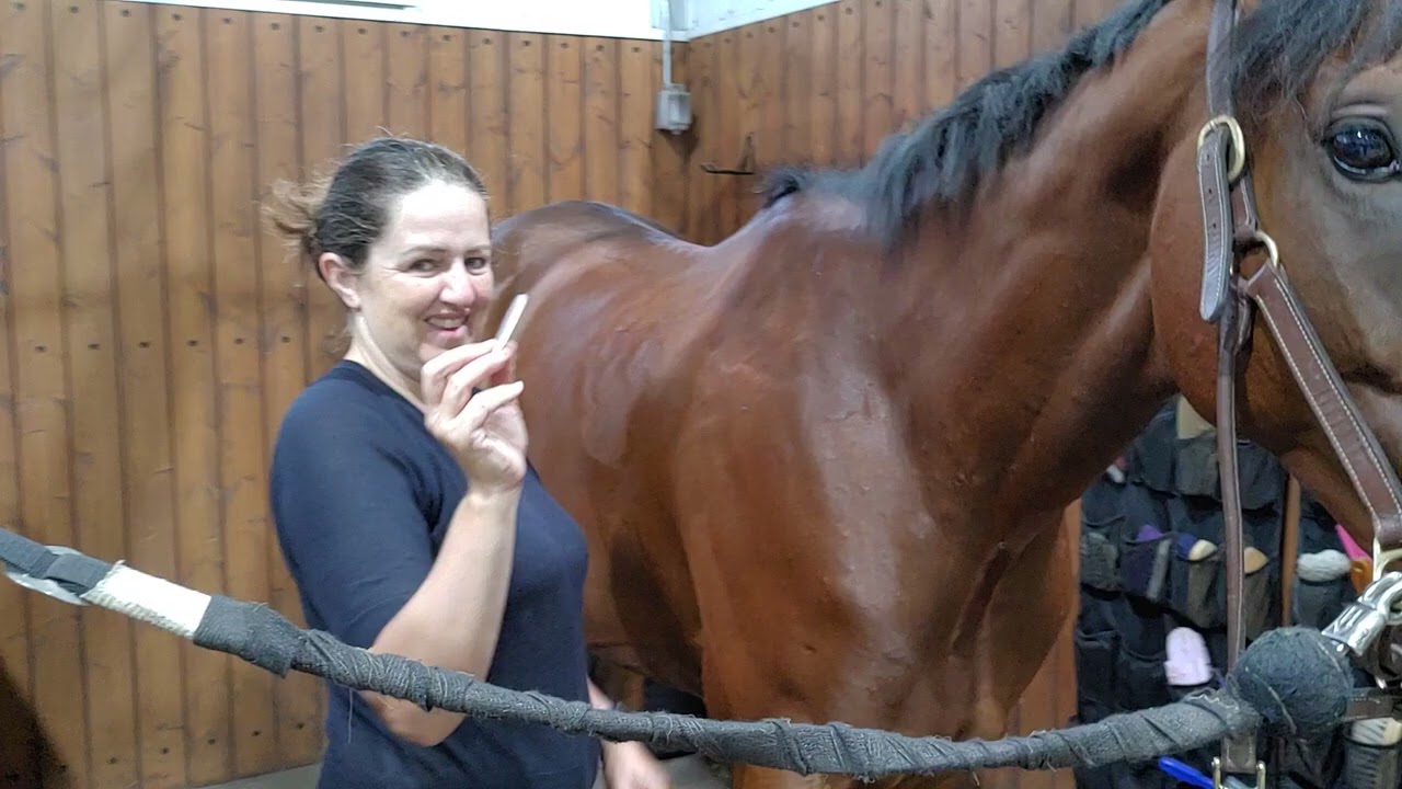 Marvin pre-ride massage