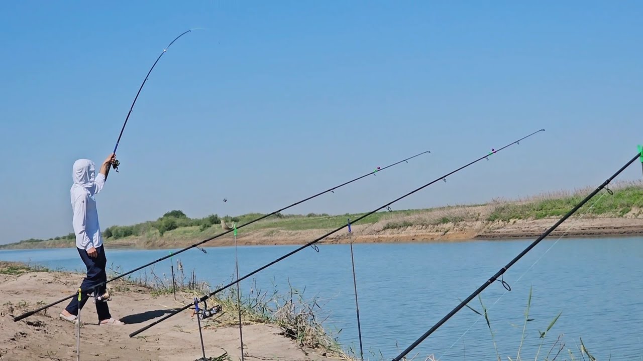 Carp2025  Супер Рыбалка, Коксарай Канал - Карась, Сазаны года, Отличный был Отдых #Рыбалка #feeder