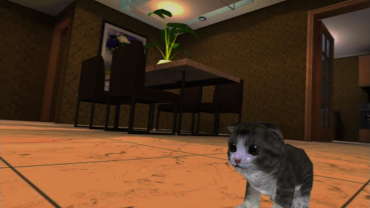 Kitten cat simulator sped up