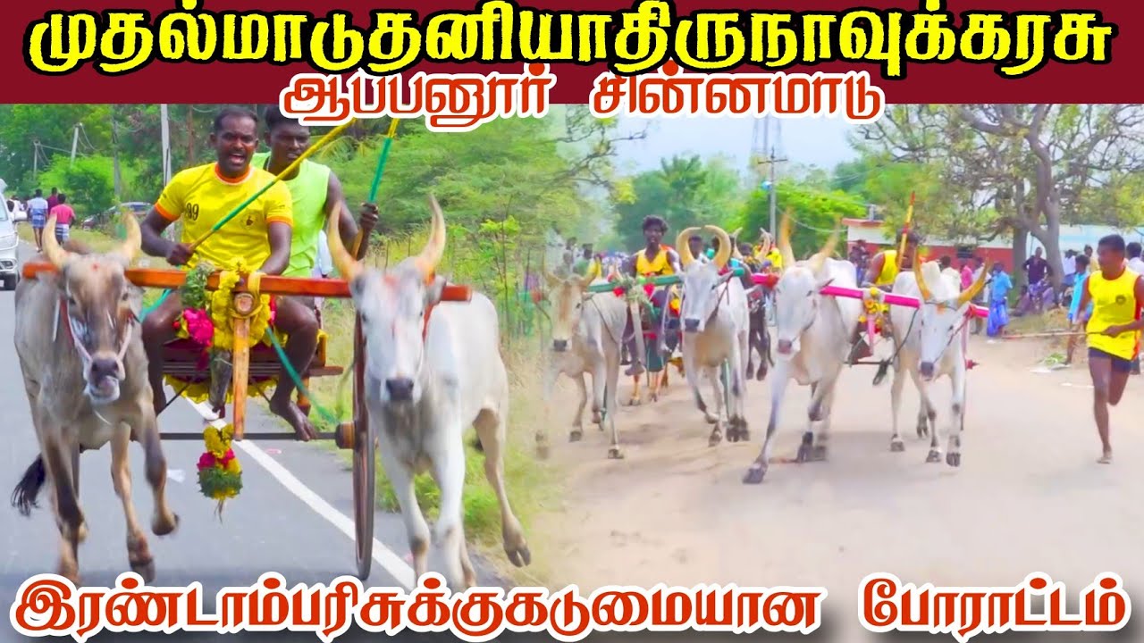 ஆப்பனூர் சின்னமாடு முதல் சுற்று பந்தயம் 