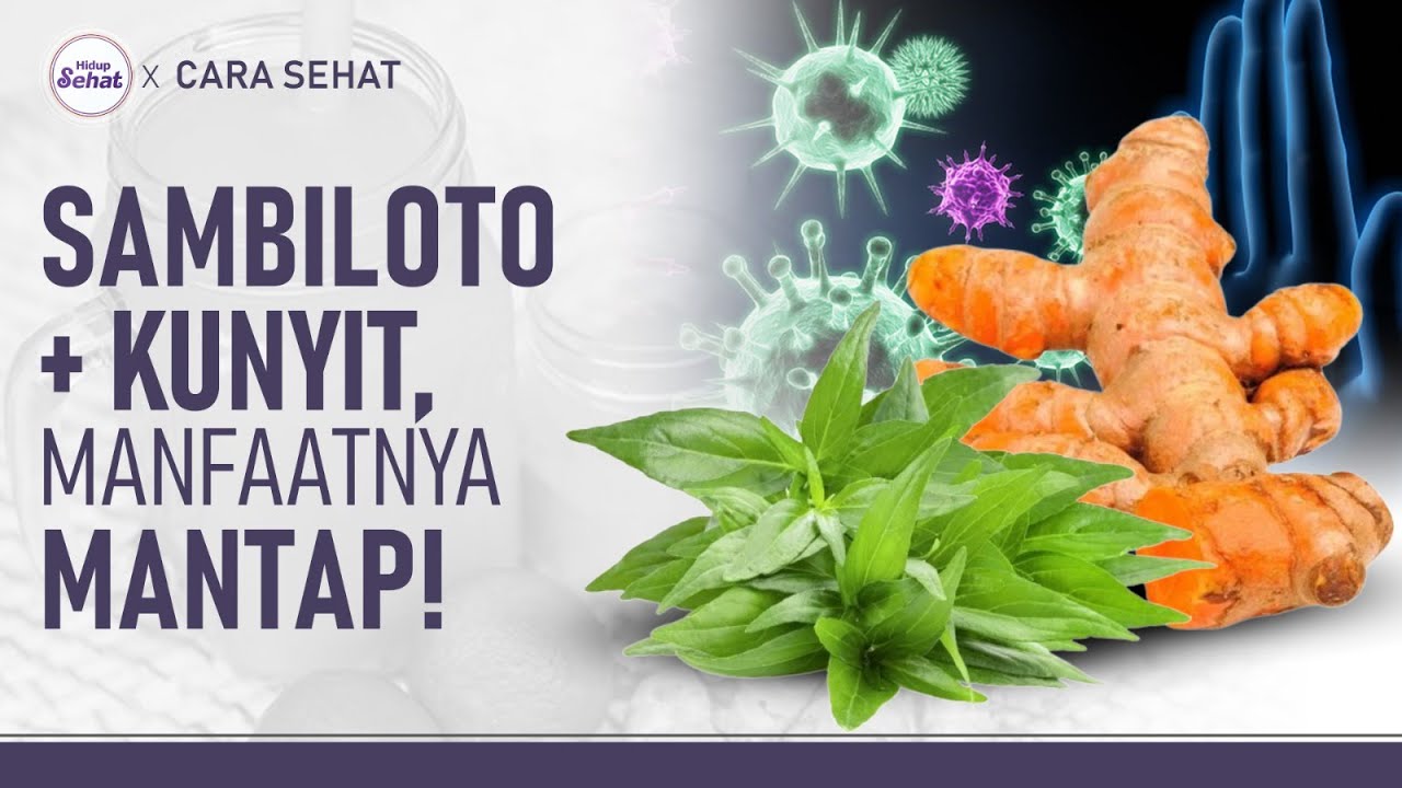 Campur Sambiloto dengan Kunyit, Ini Manfaatnya! |  Hidup Sehat tvOne
