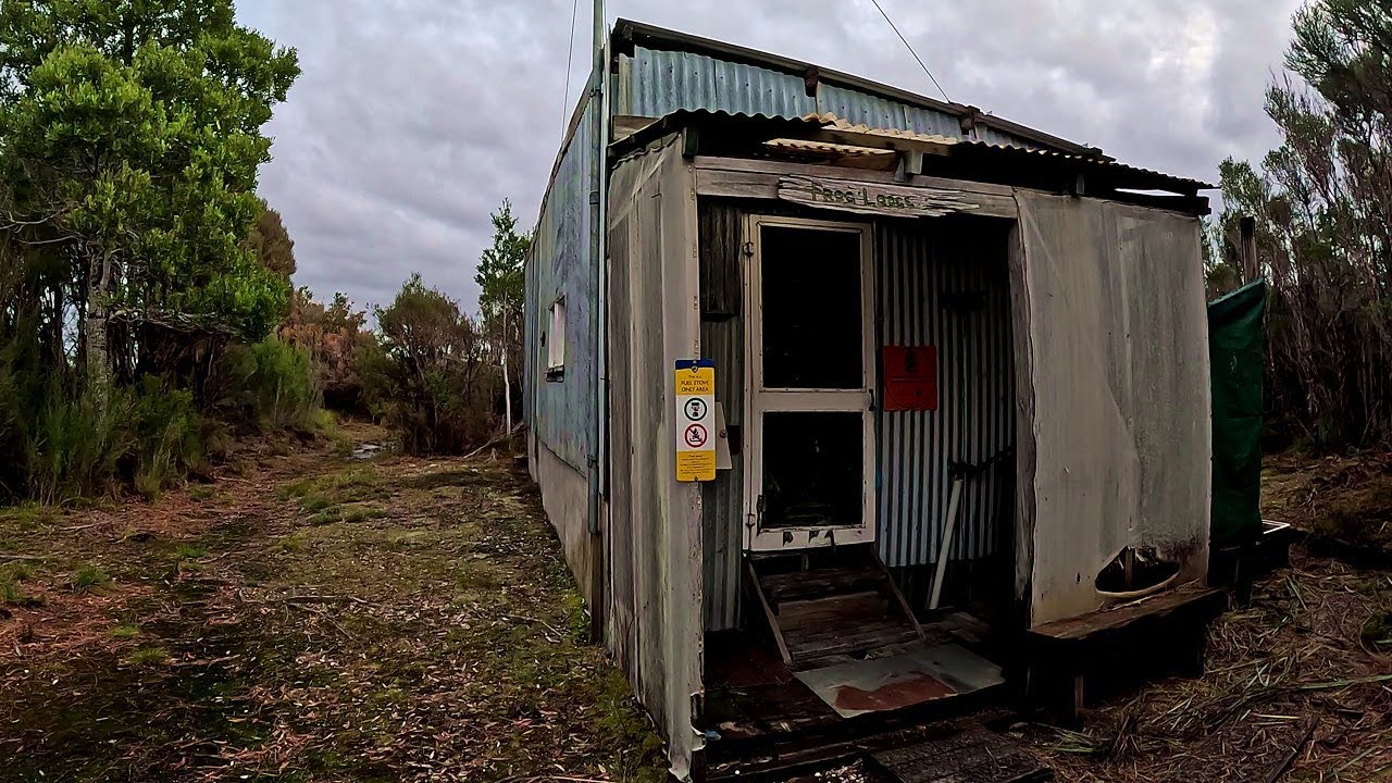 Frog Lodge  - 2025 Revisit (30min long)