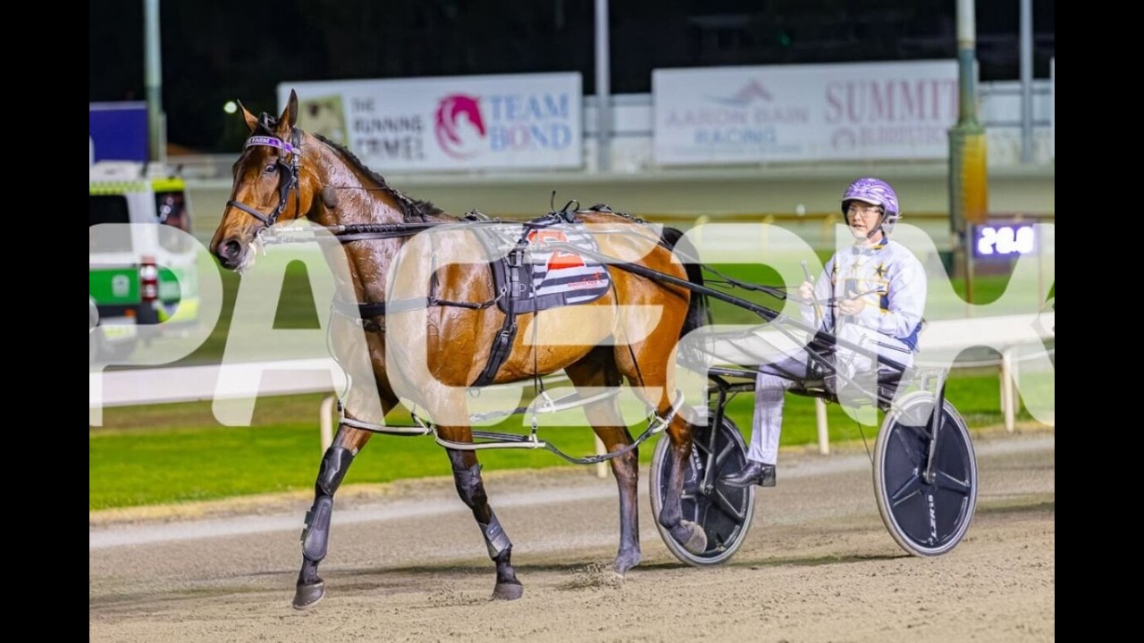 2026 HTA Rent A Gen MS Pace 2130M Gloucester Park Western Australia : Little Darling (!:56:3)