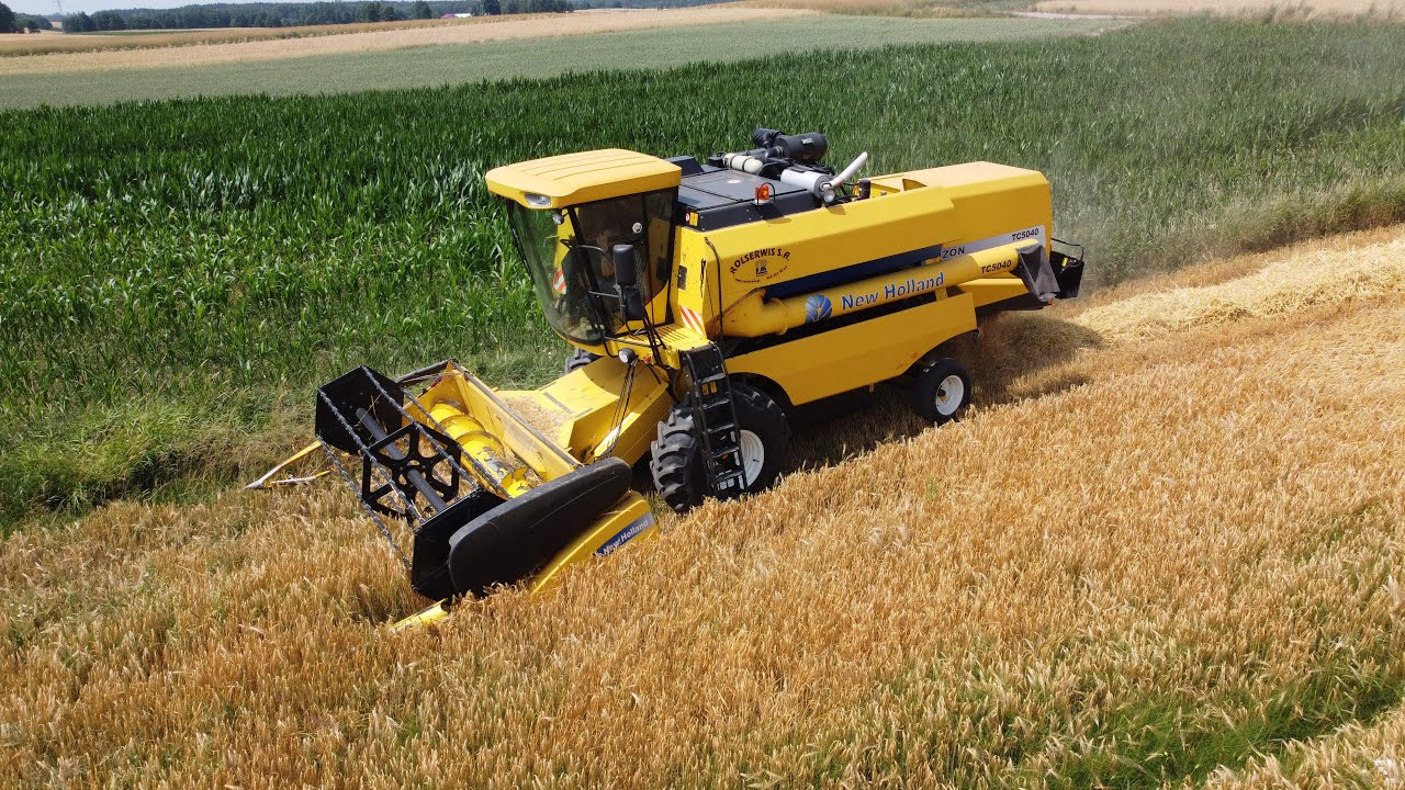 ŻNIWA 2023 | NEW HOLLAND TC5040 BIZON | JĘCZMIEŃ OZIMY