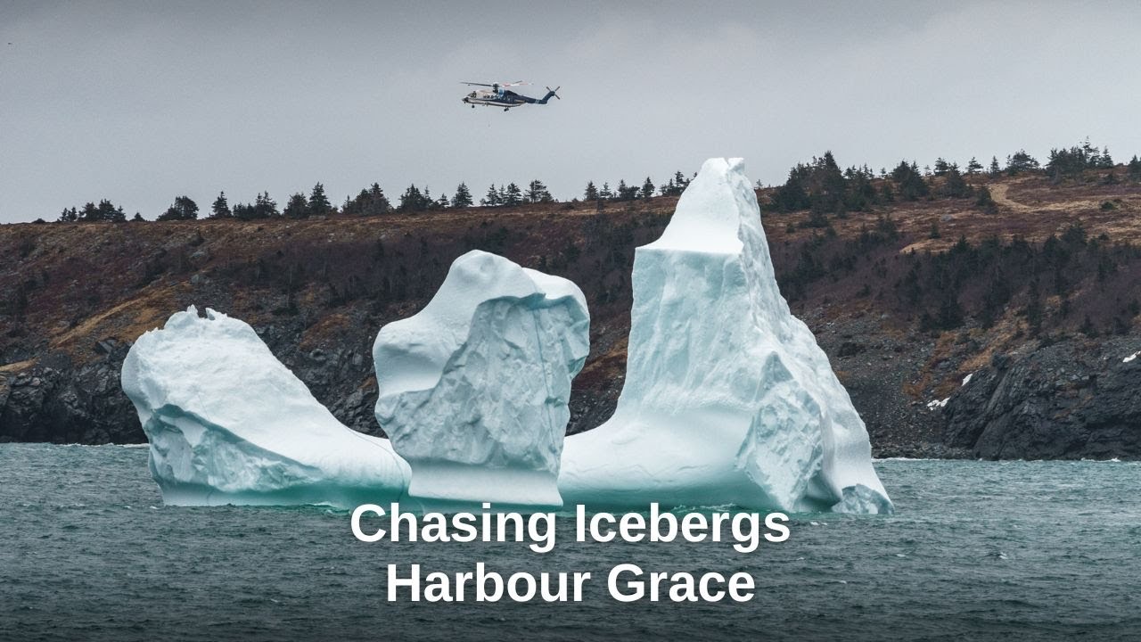 Discovering Newfoundland -Chasing Icebergs Harbour Grace Newfoundland