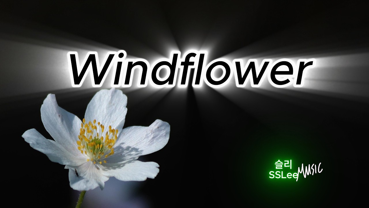Windflower (바람꽃) | Korean Emotional Ballad | 감성 발라드 신곡