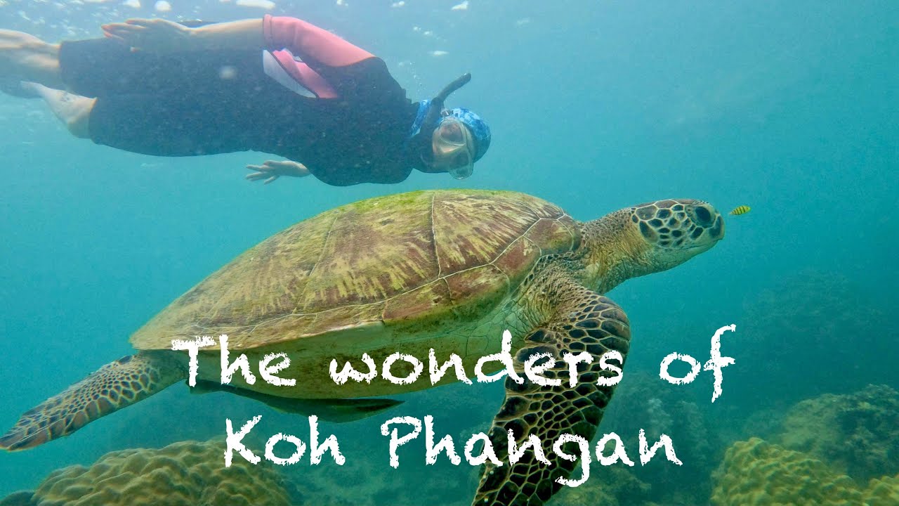 Natural wonders of Koh Phangan with Adrienn on Thailand's best island