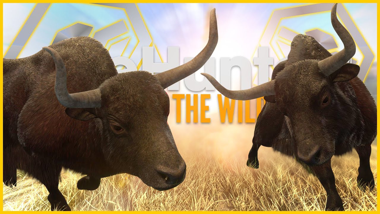 CACEI 2 IAQUES DIAMANTES GUIA DO IAQUE SELVAGEM DO NEPAL, THE HUNTER CALL OF THE WILD MAPA NOVO