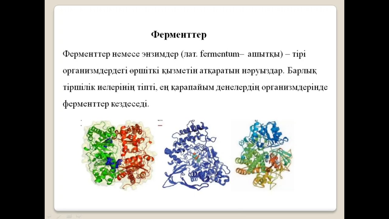 11 сынып.Химия(ЖМБ).Ферменттердің маңызы мен қолдануы