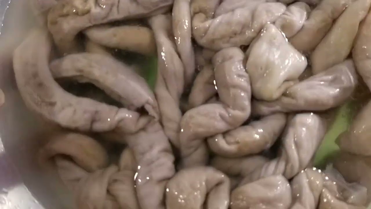 COMO LIMPAR TRIPA DE PORCO E CONGELAR JÁ LIMPINHAS ,👍 #culinariacomcarmemrosa