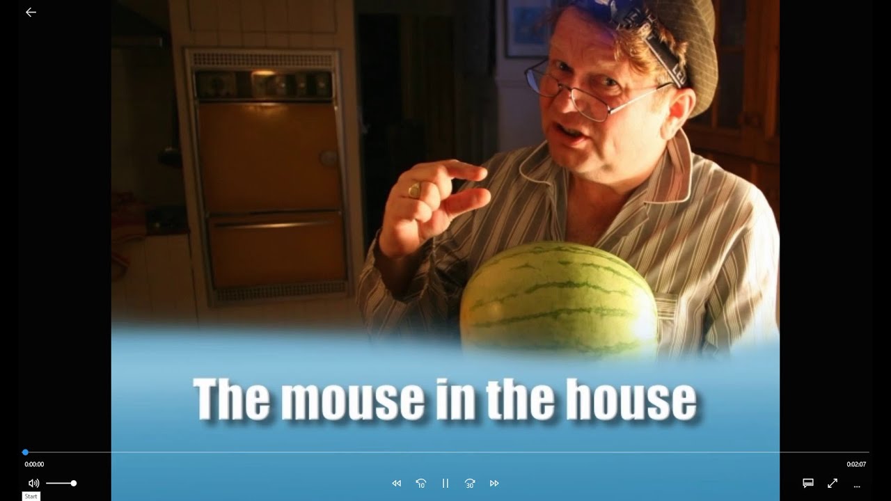 The mouse in the house