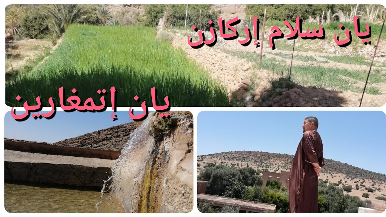 إني أودارينو دارميت أدلكمغ  ونيغاس تيمولاي لالة ملوكة دار ميدن عزانين