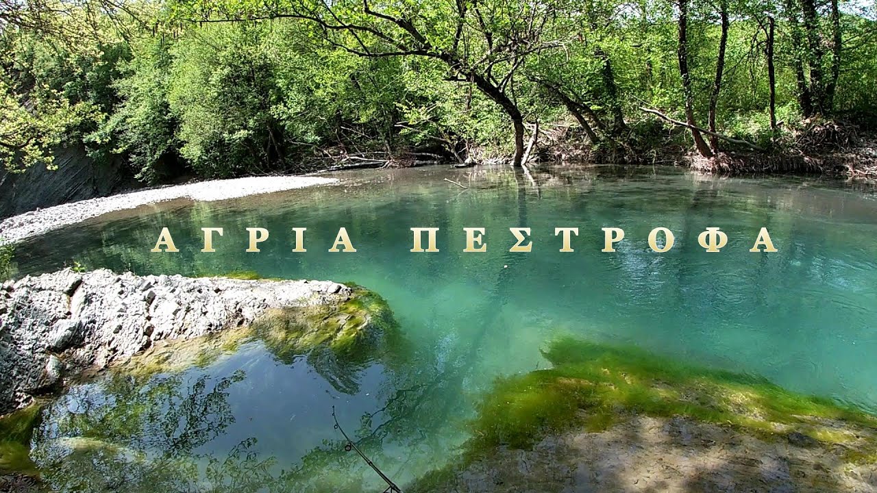 ψάρεμα άγριας ΠΕΣΤΡΟΦΑΣ/fishing river sea/spin trout