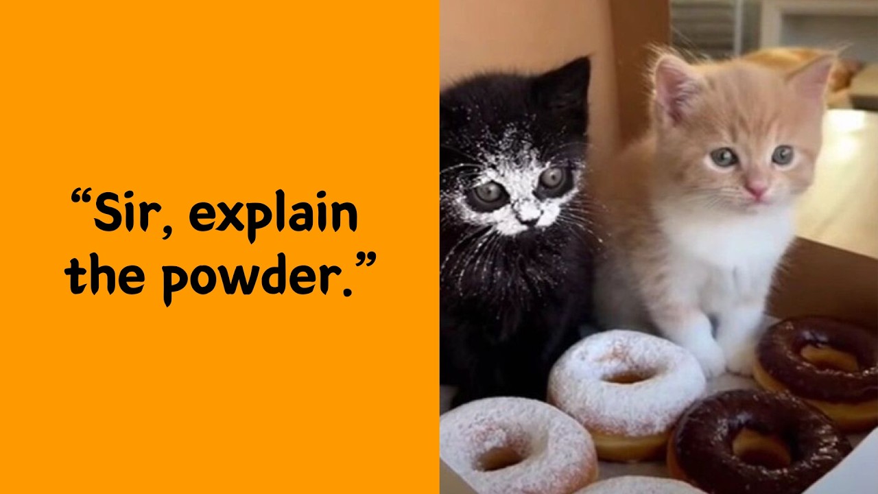 50 Feel-Good Animal Moments To Brighten Your Day