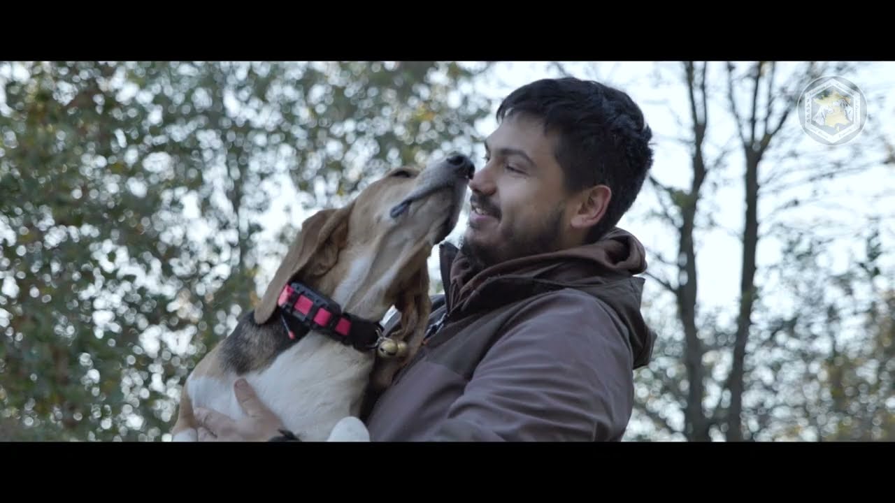 Chasse dans les Garrigues (Passion Chien Courant #14)