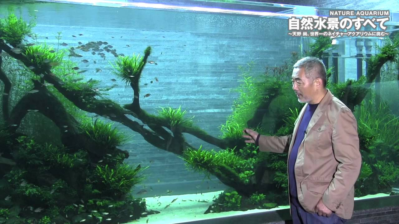 天野 尚×すみだ水族館　自然水景のすべて  完結編