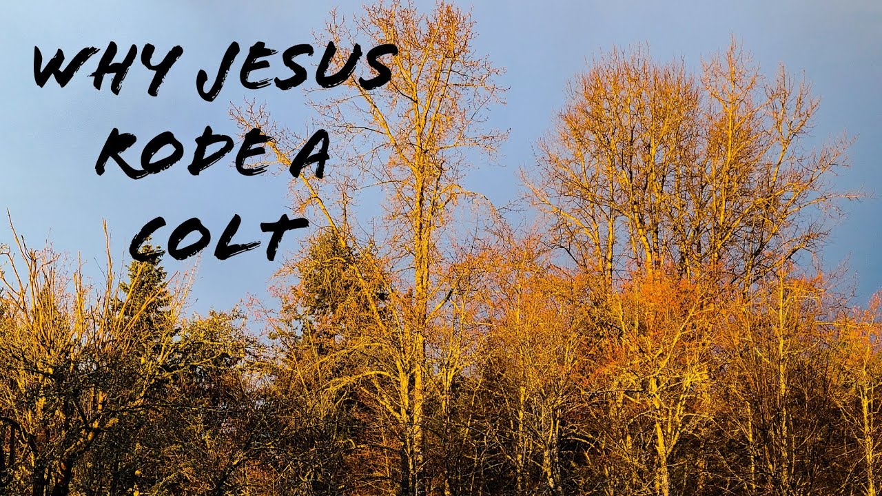 Why Jesus rode a colt