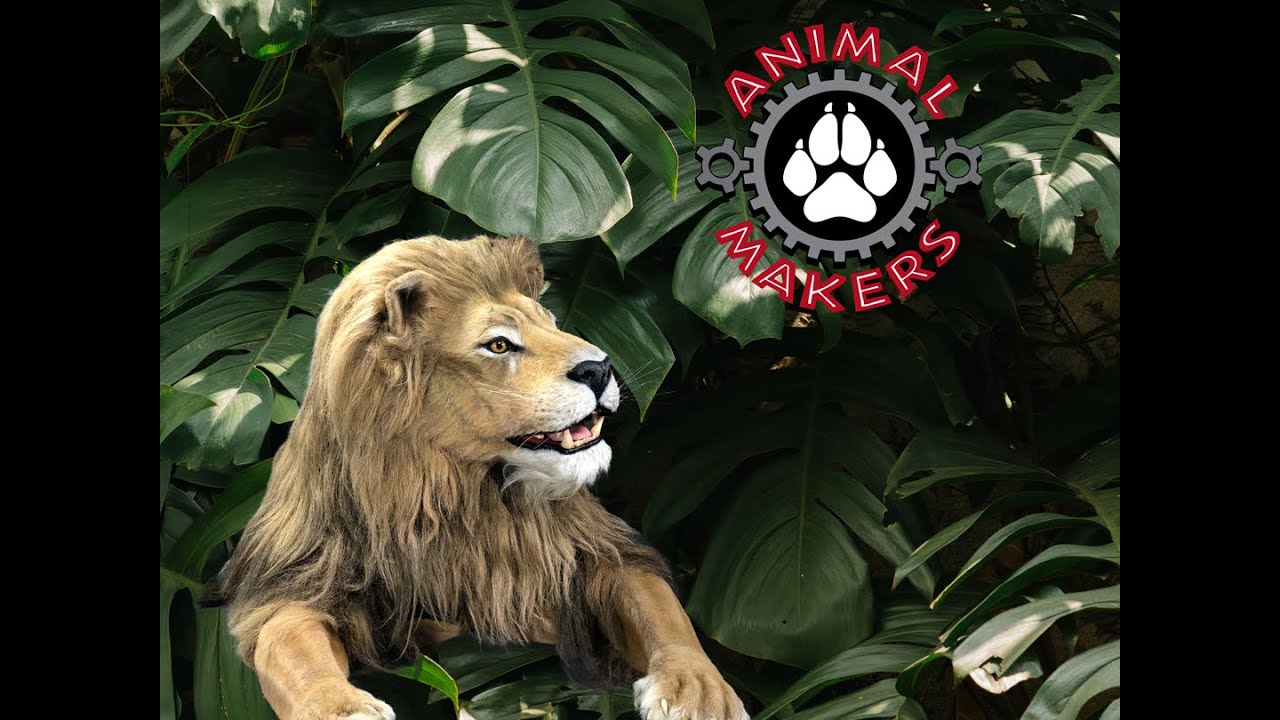 Animatronic Lion by Animal Makers