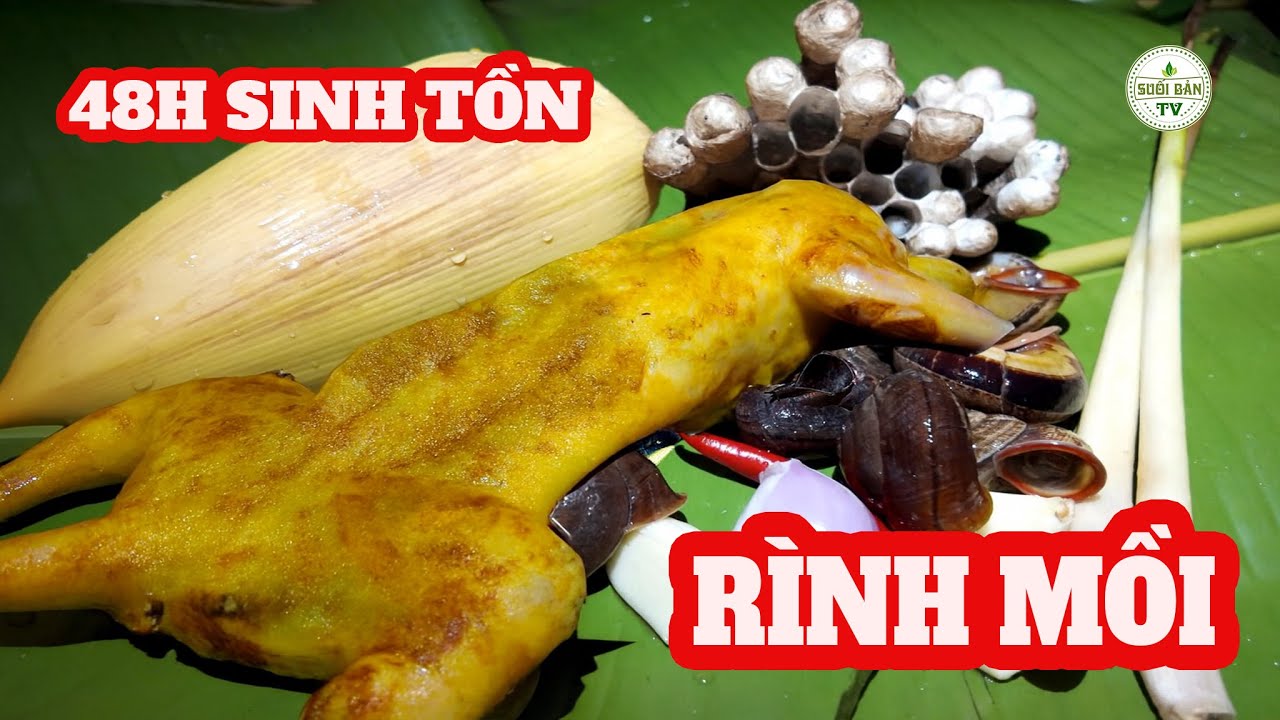 Sinh Tồn 48h Trong Rừng Đặt Bẫy Chúng Đậm Có Thịt Rừng Ăn ✧ Suối Bản Tv